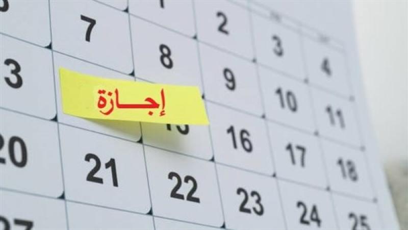 هل يتم ترحيلها؟.. موعد إجازة 25 يناير 2026