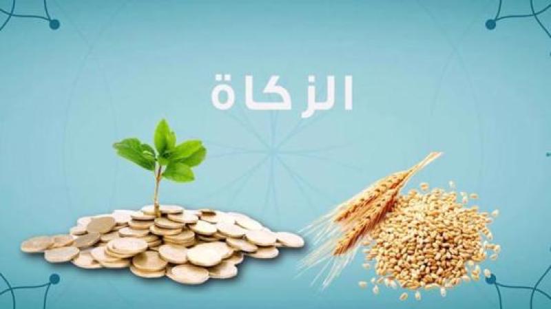 مقدار زكاة الفطر 2026 وآخر موعد لإخراجها.. الإفتاء توضح