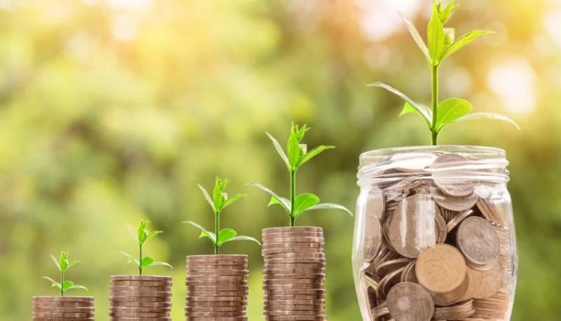 أعلى شهادات الادخار الشهرية في 14 بنكًا بعائد يصل إلى 21%..تفاصيل