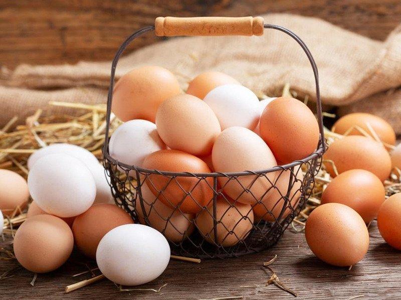 سعر كرتونة البيض اليوم الأربعاء بالسوق.. الطبق الأبيض بـ65 جنيه