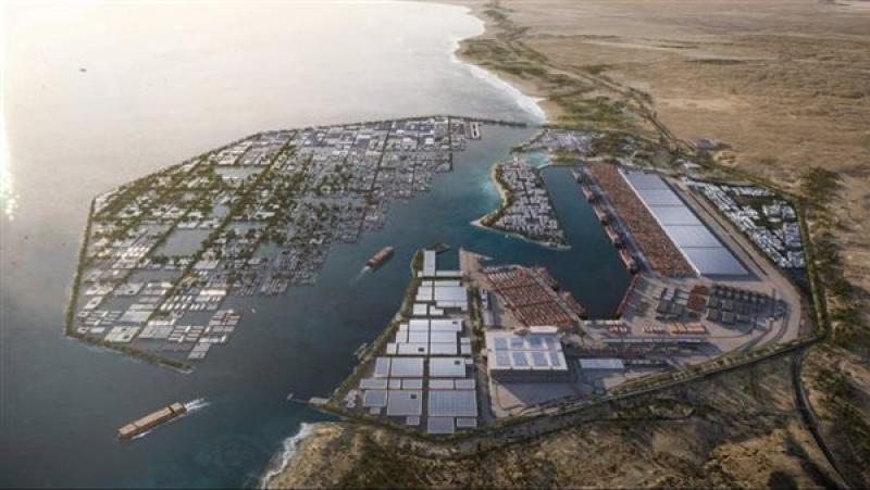 مصر تتحرك لحل أزمة تكدس الشاحنات بميناء نيوم وتطالب بإلغاء الغرامات فورًا